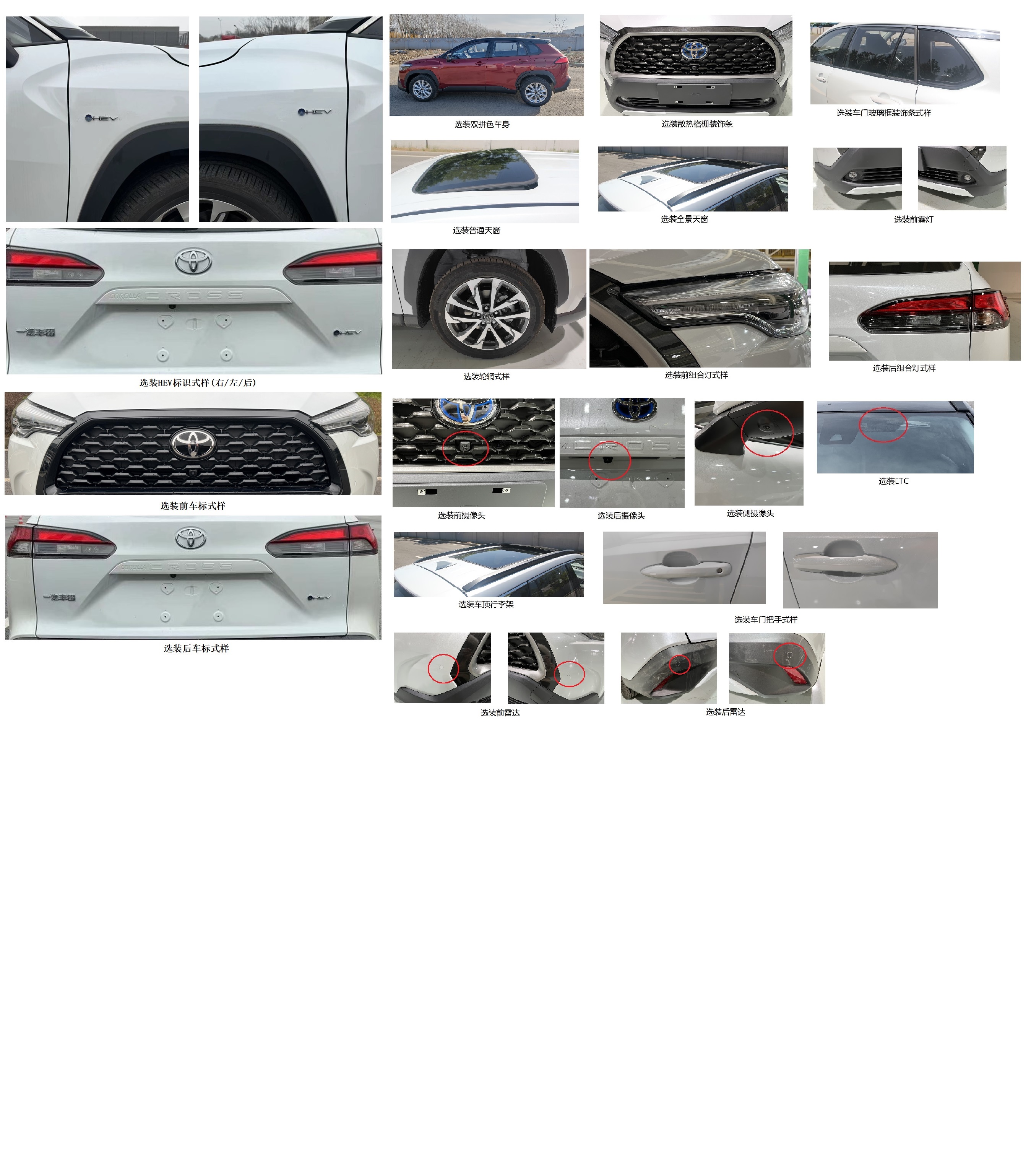 凌扬牌LYP5028XGJHEV混合动力工具车公告图片