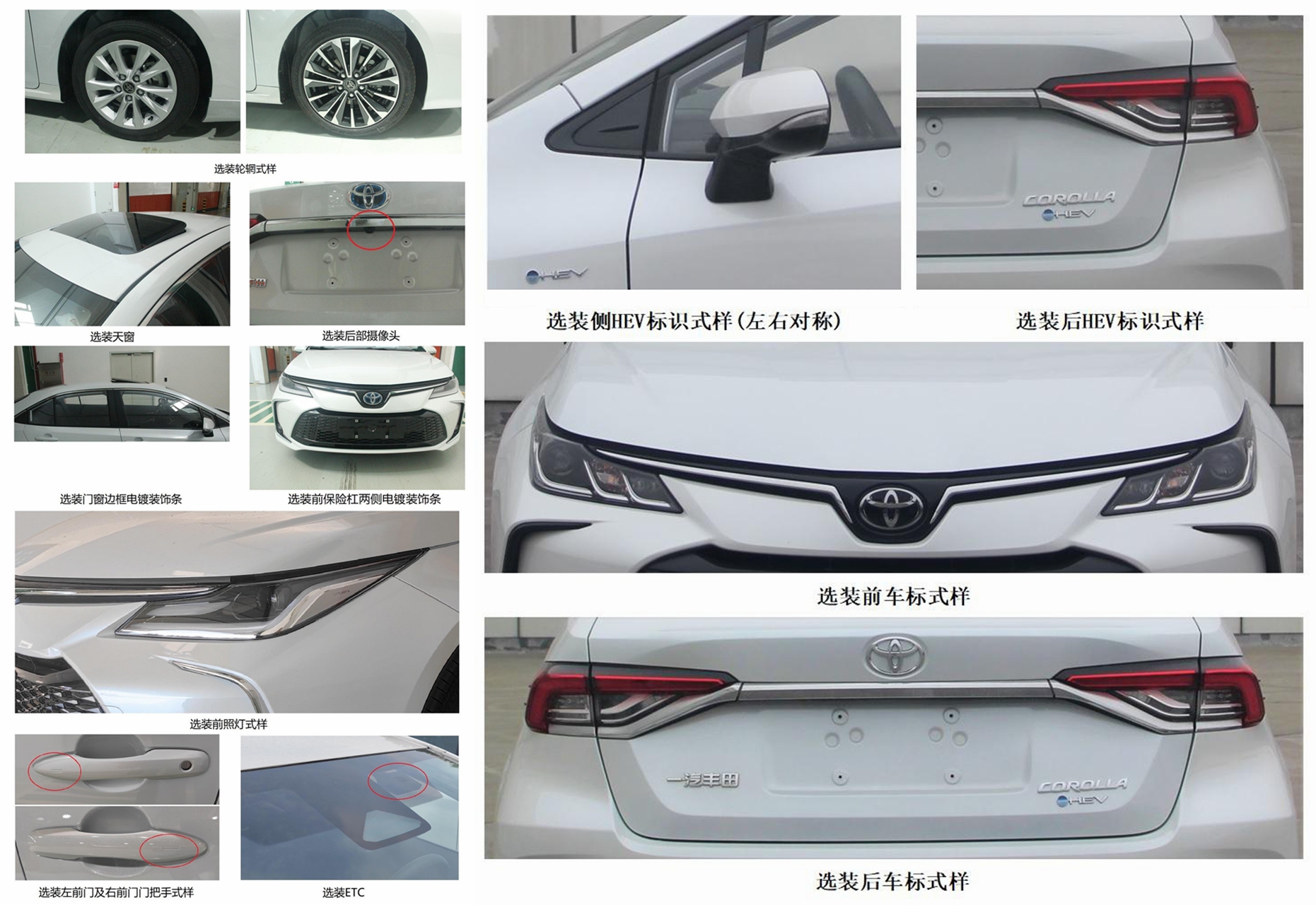 星通牌XTP5022XGJTVHEV混合动力工具车公告图片