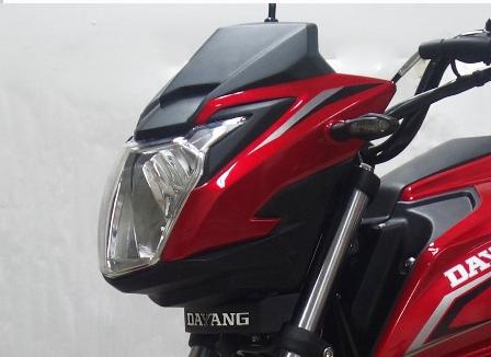 大阳牌DY150-33N两轮摩托车公告图片