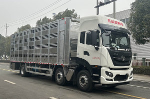 龙星汇牌HLV5250XCQD6雏禽运输车