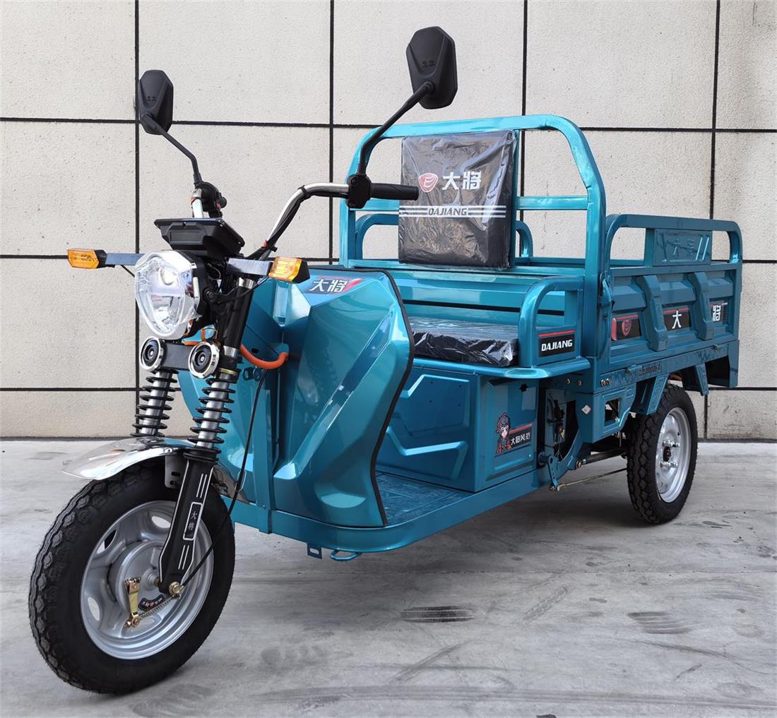 大将牌DJ1000DZH-2电动正三轮摩托车公告图片