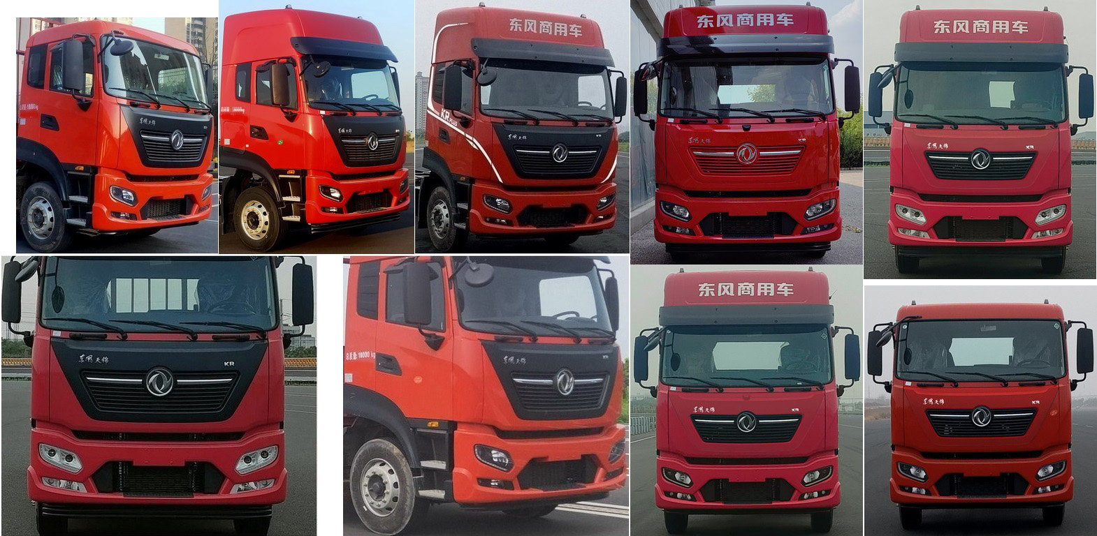 龙牧双星牌LMX5180XCQDF6雏禽运输车公告图片
