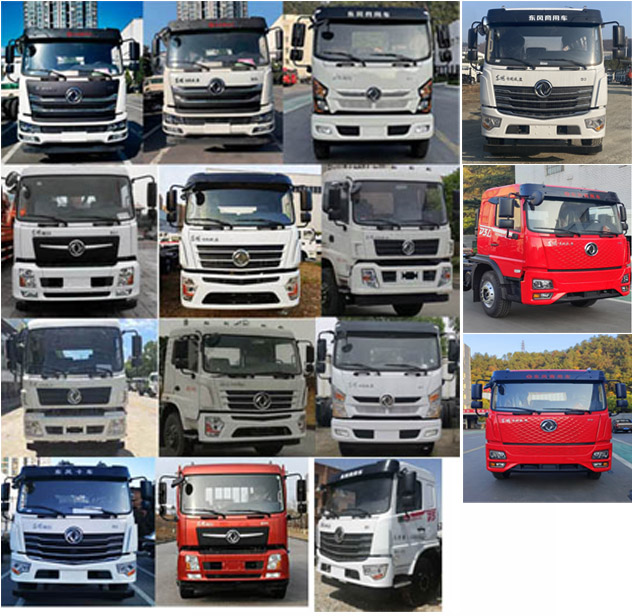 潤(rùn)知星牌SCS5160GPSDFV6綠化噴灑車公告圖片