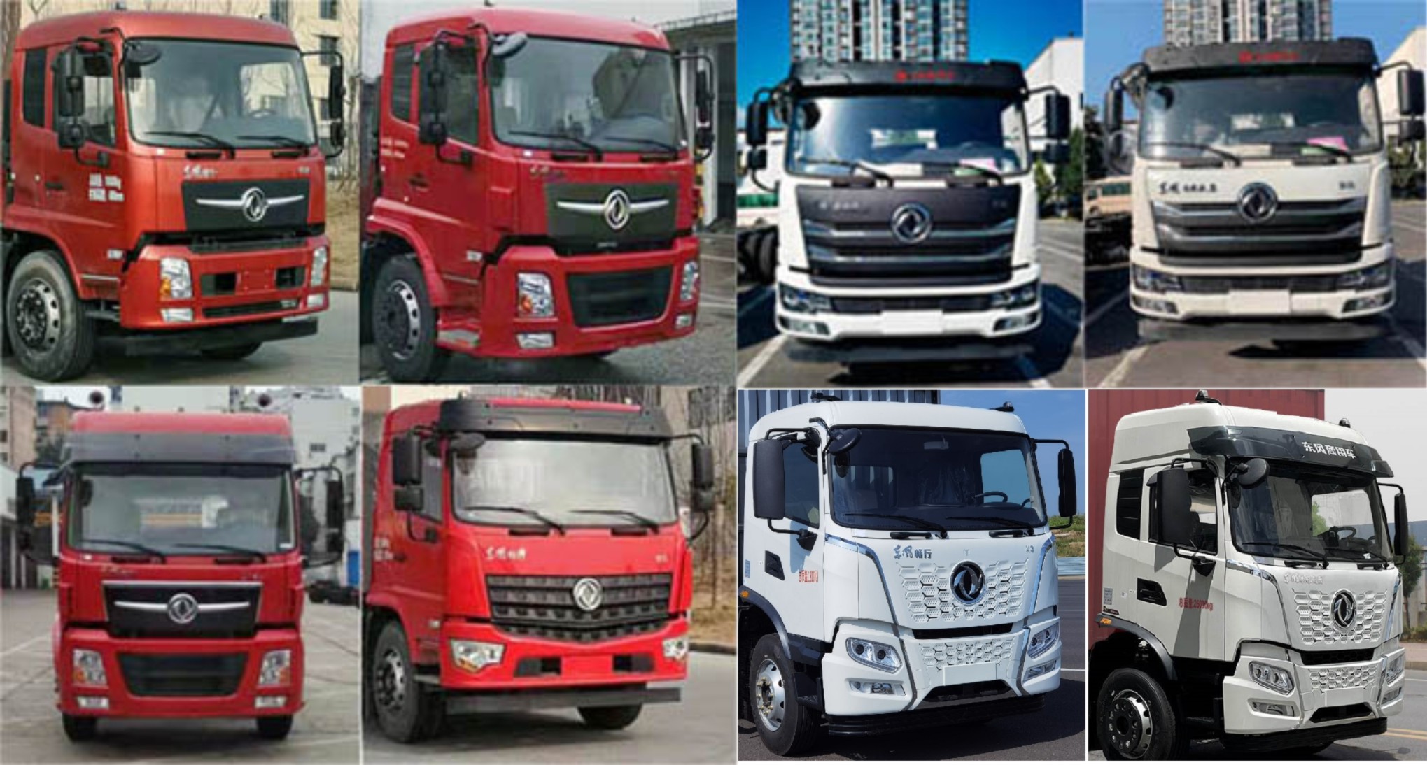 潤知星牌SCS5250ZSLDFV6散裝飼料運輸車公告圖片
