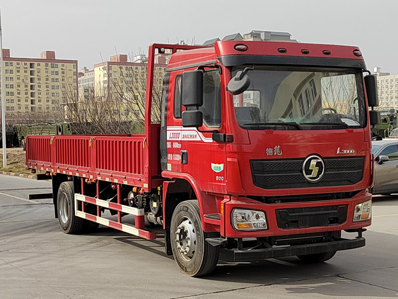 陕汽牌SX1189LA471F2载货汽车图片