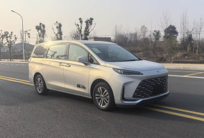 SCS5030XBYSGM6殡仪车图片