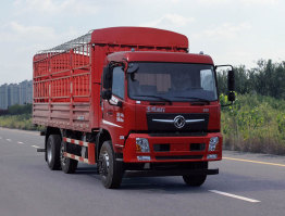 东风牌DFV5253CCYGP6DT仓栅式运输车