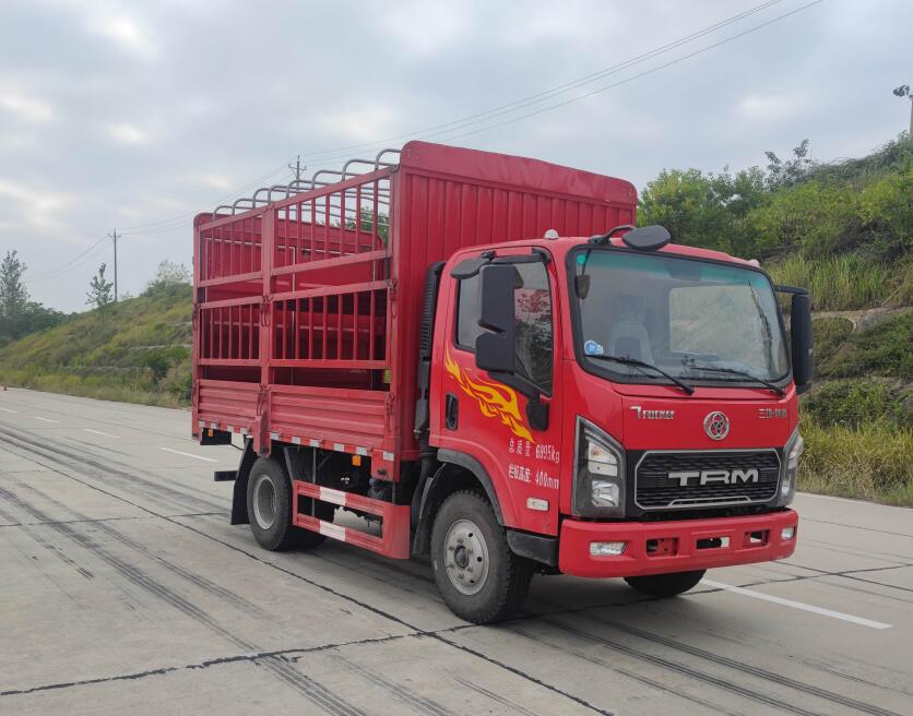 STQ5071CCYN6型仓栅式运输车图片