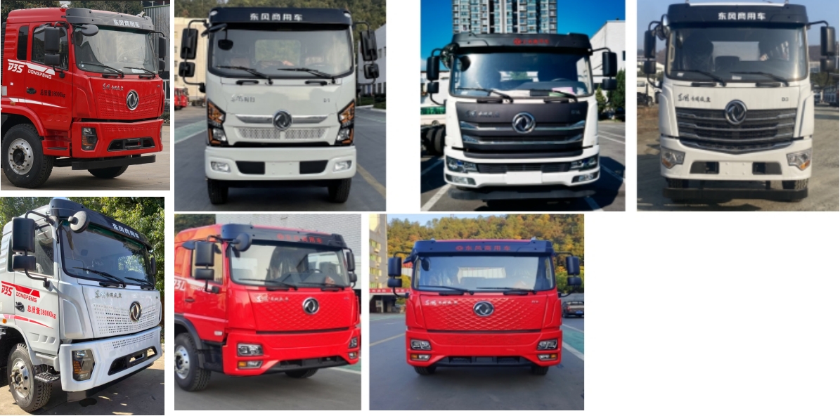 旺龙威牌WLW5183ZXXD6车厢可卸式垃圾车公告图片