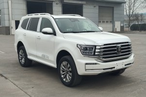 ZK5039XYL16医疗车图片