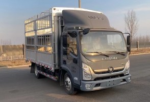 BJ5048CCY9JEA-AB2仓栅式运输车图片