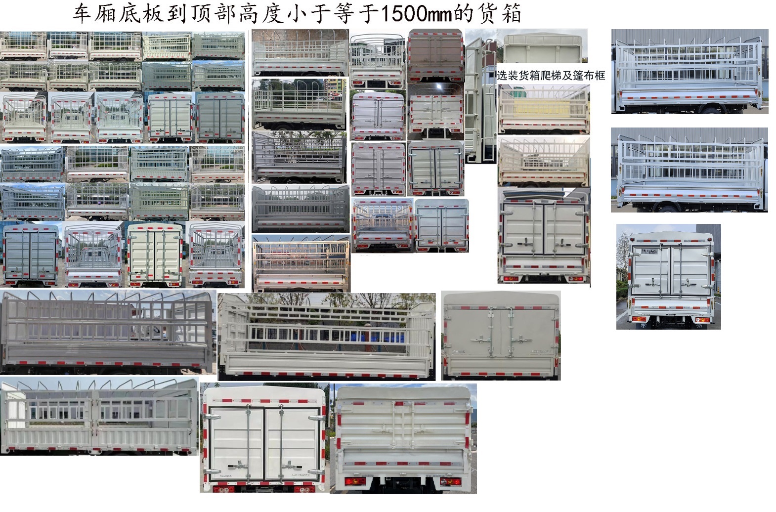 福田牌BJ5045CCY9PBA-55倉柵式運輸車公告圖片
