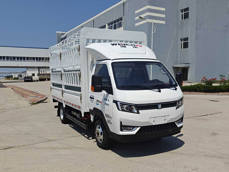 燕臺(tái)牌YTQ5042CCYPDEV331A純電動(dòng)倉(cāng)柵式運(yùn)輸車公告圖片