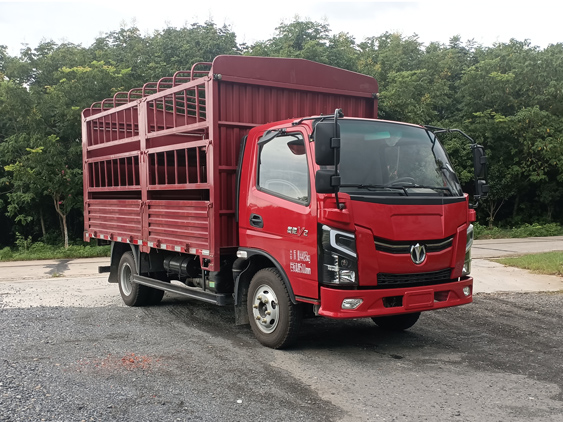 飛碟牌FD5045CCYW63K6-1倉(cāng)柵式運(yùn)輸車公告圖片