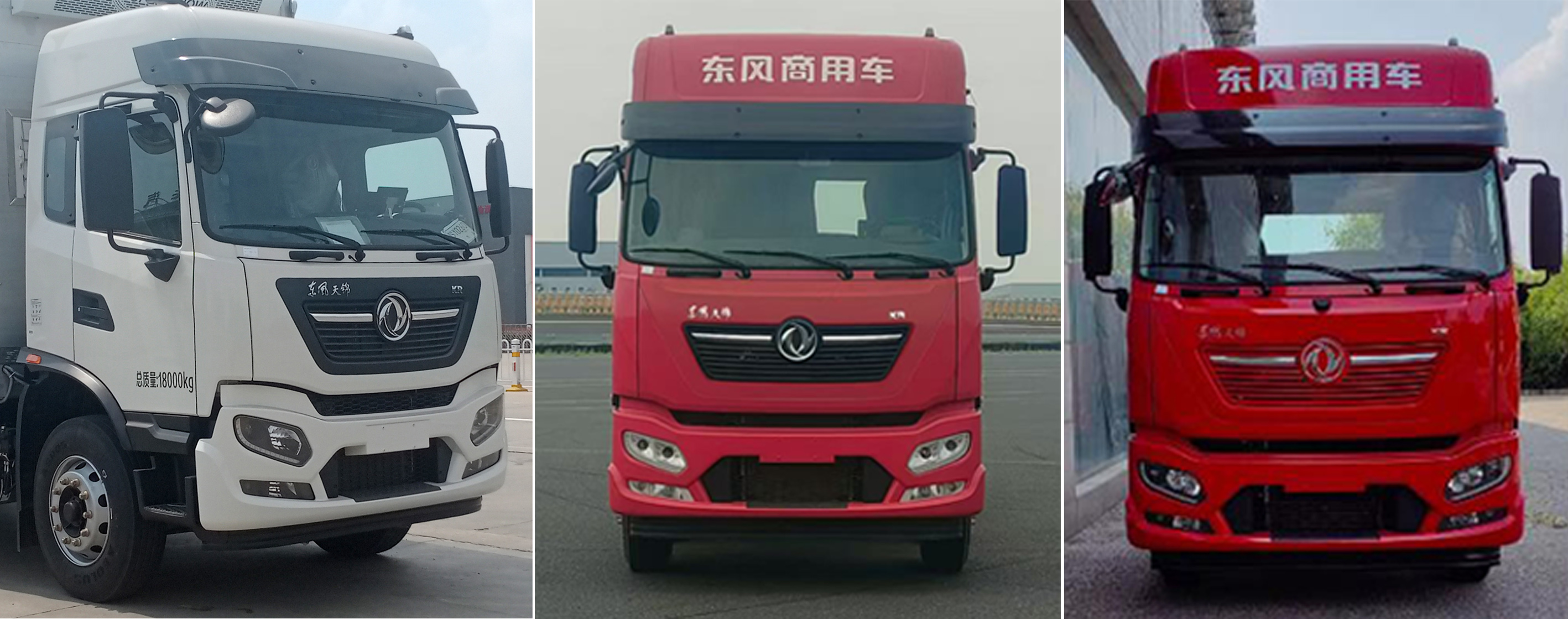 楚勝牌CSC5183XCQD6雛禽運輸車公告圖片