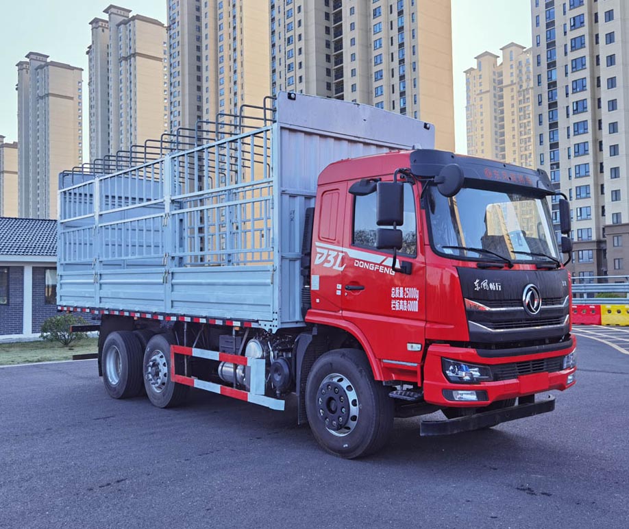 東風(fēng)牌DFV5253CCYGP6DT2倉柵式運輸車公告圖片