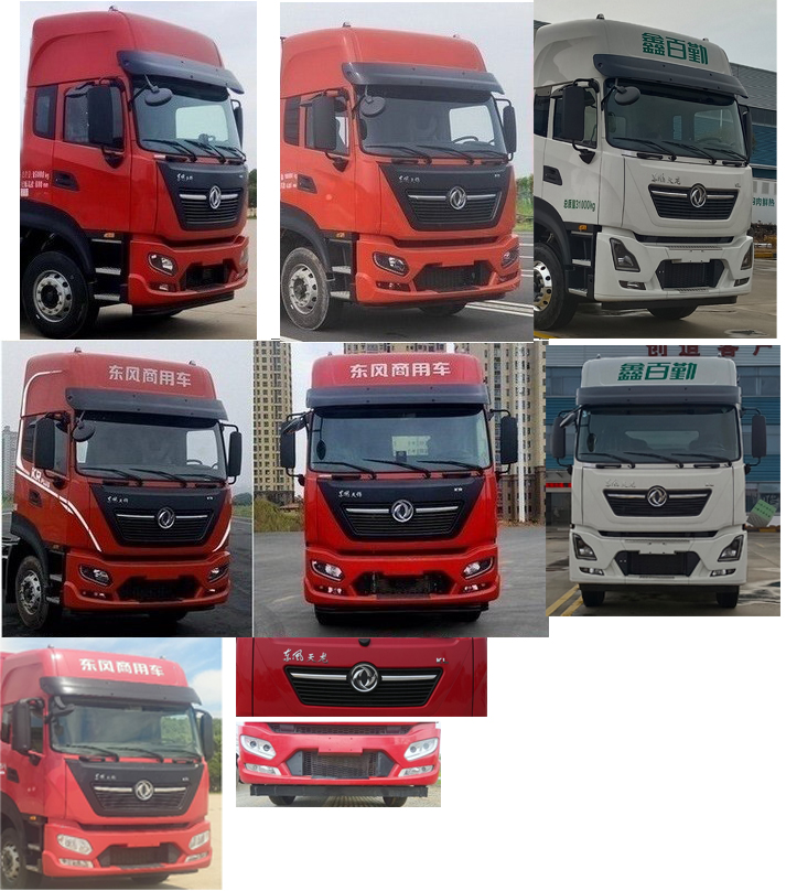 百勤牌XBQ5180XCQZ73DL雛禽運輸車公告圖片