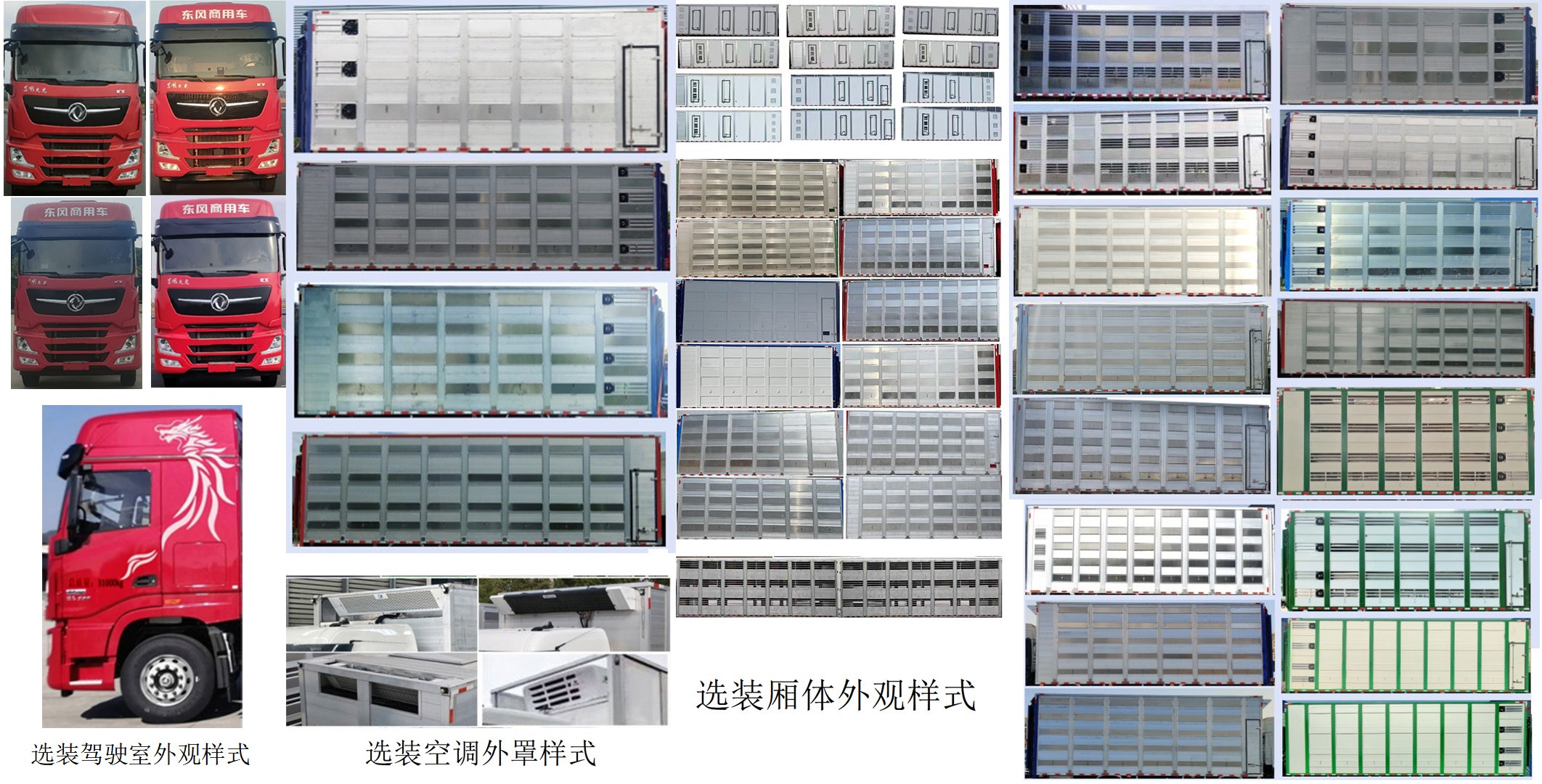 長力威牌CLA5310XCQC4雛禽運(yùn)輸車公告圖片