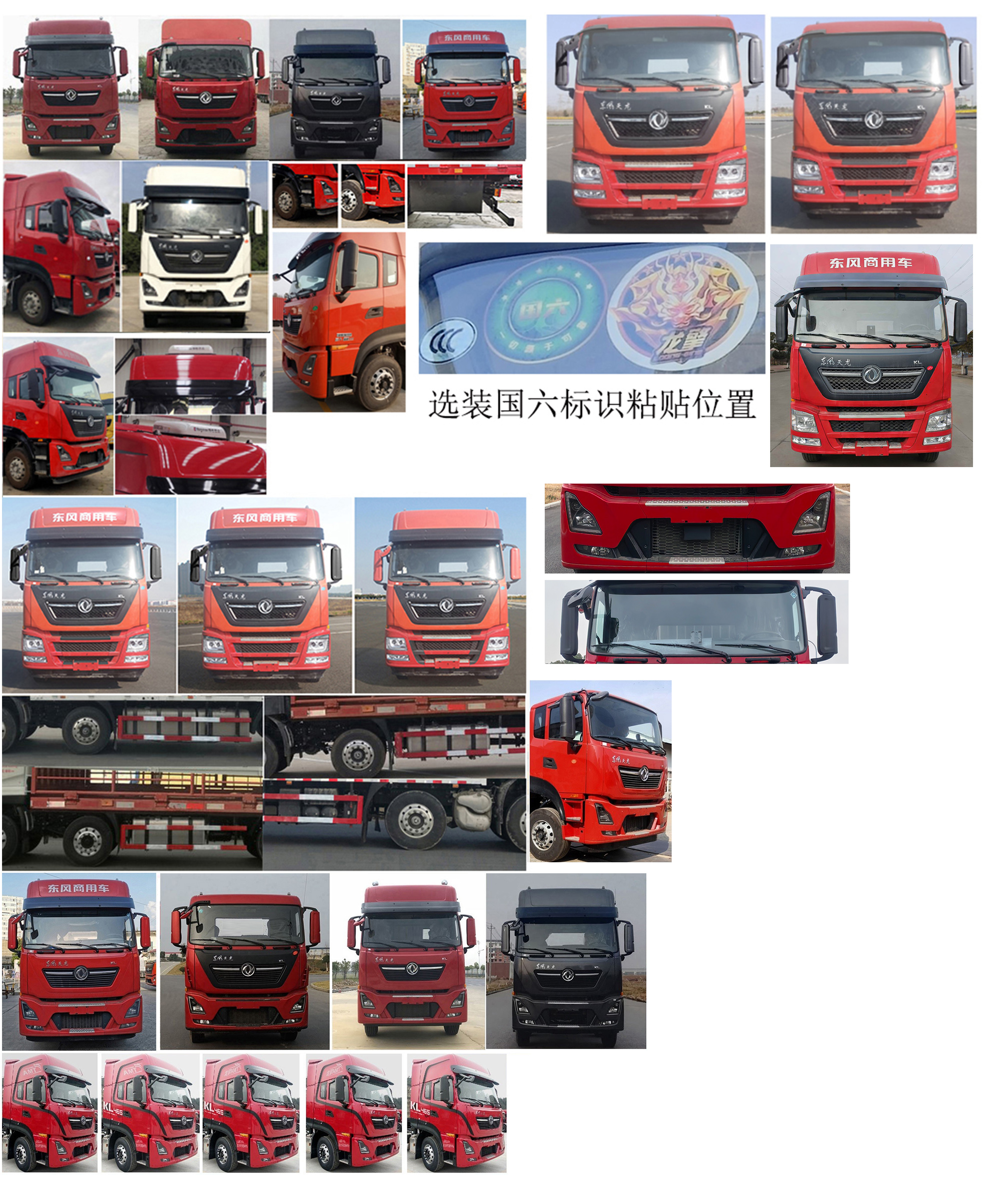 東風牌DFH5310CCQDX畜禽運輸車公告圖片