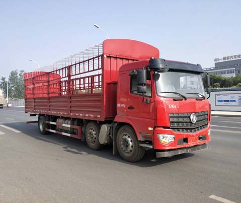 東風(fēng)牌DFV5243CCYGP6D1倉柵式運(yùn)輸車公告圖片