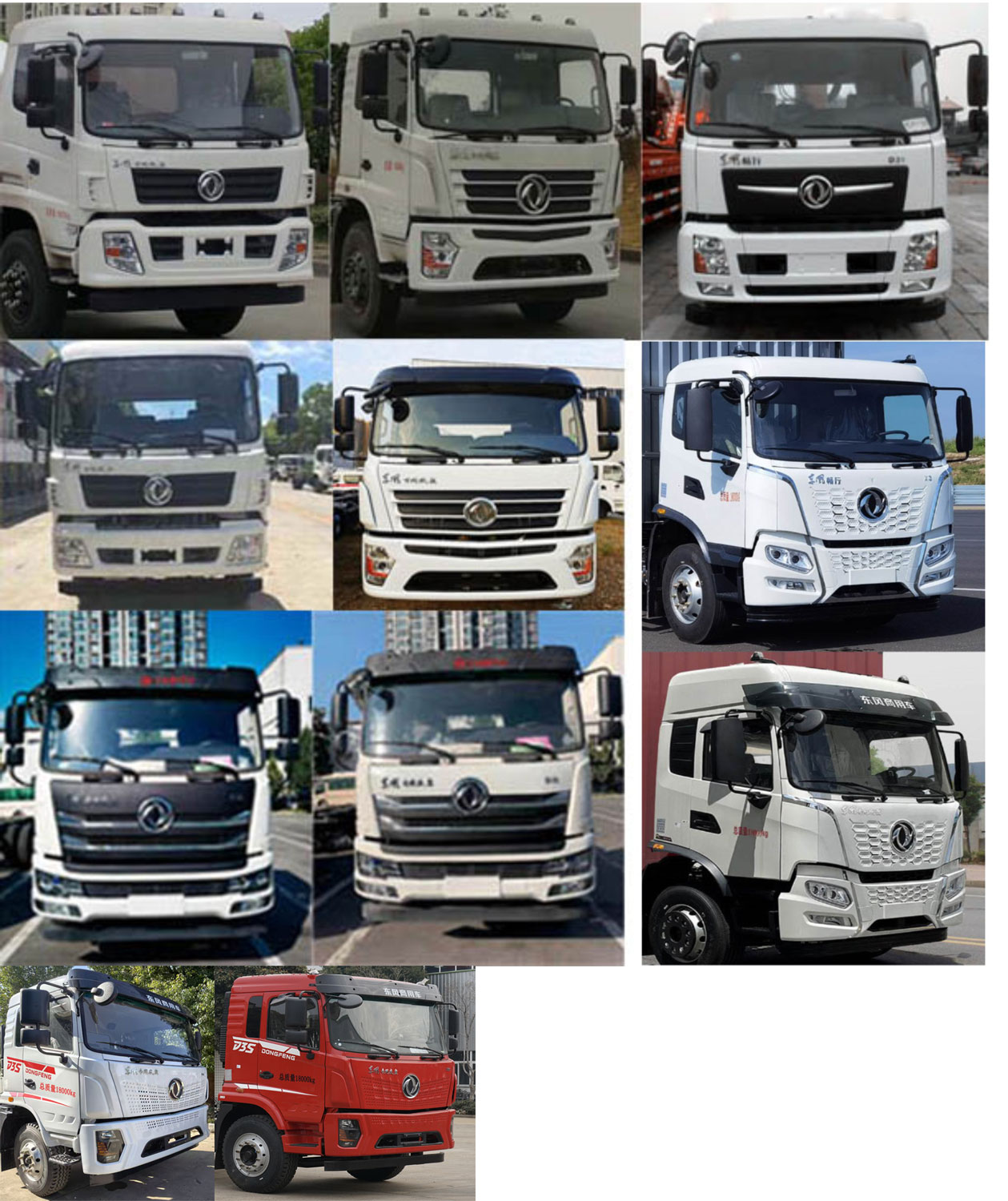 潤知星牌SCS5181ZSLDFV6散裝飼料運輸車公告圖片