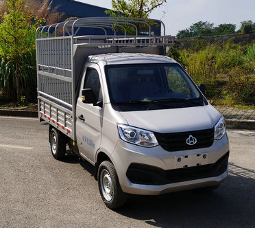 長安牌SC5021CCYXBD6B1倉柵式運輸車公告圖片