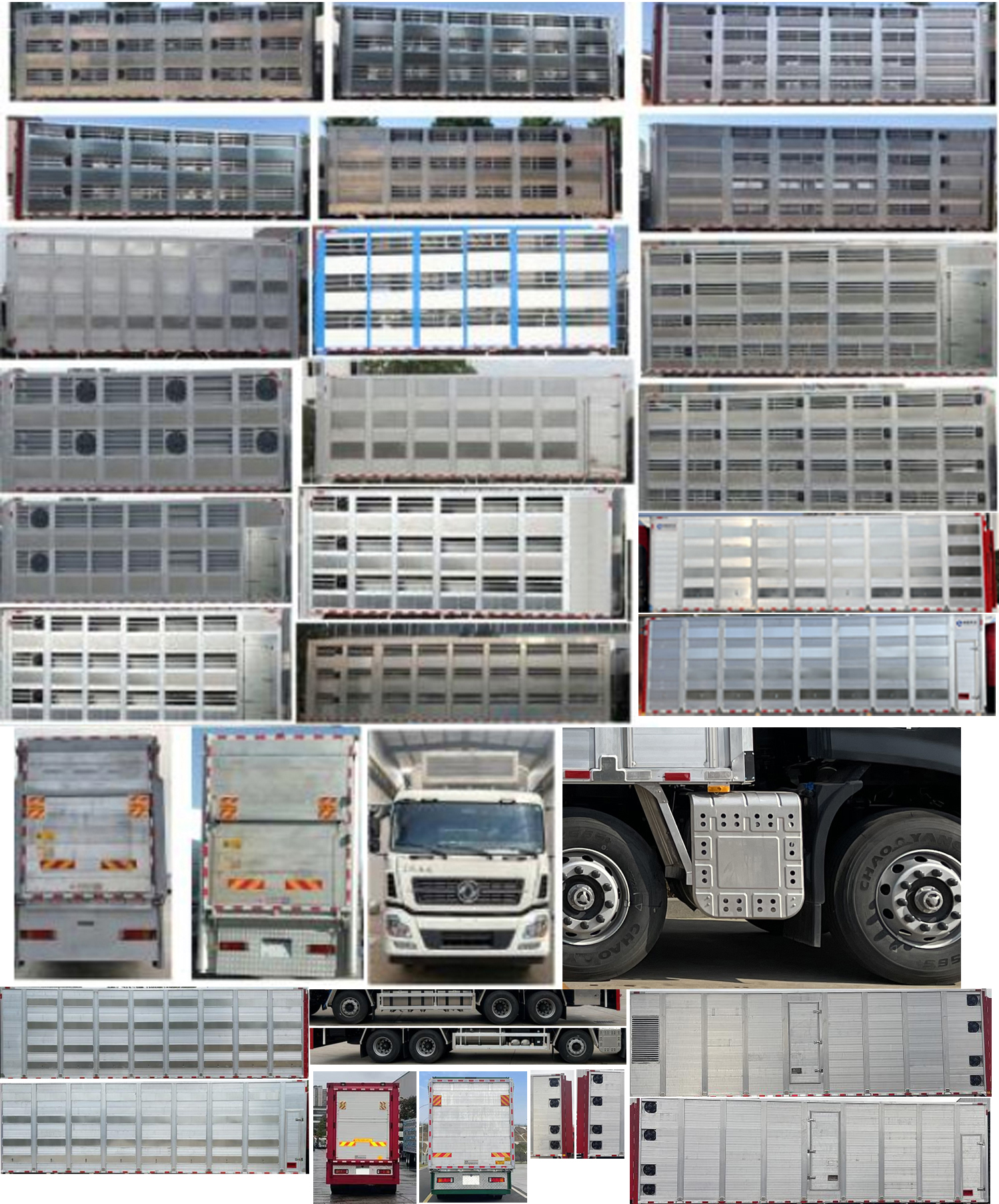 楚勝牌CSC5311CCQD6畜禽運(yùn)輸車公告圖片