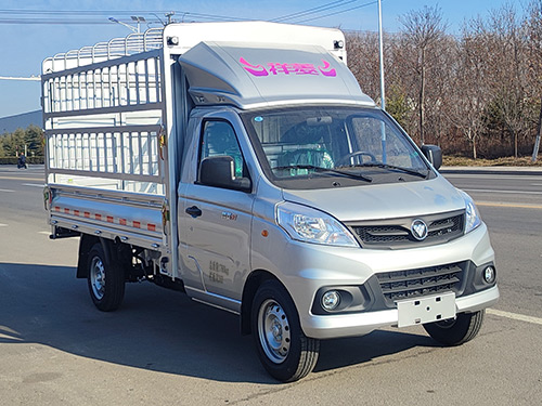 福田牌BJ5020CCY2JV5-11倉柵式運(yùn)輸車公告圖片