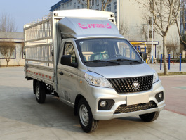 BJ5020CCY2JV5-63仓栅式运输车图片