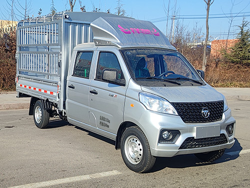 福田牌BJ5020CCY2AV5-13倉柵式運輸車公告圖片