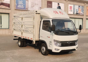 BJ5035CCY4JV5-26仓栅式运输车图片