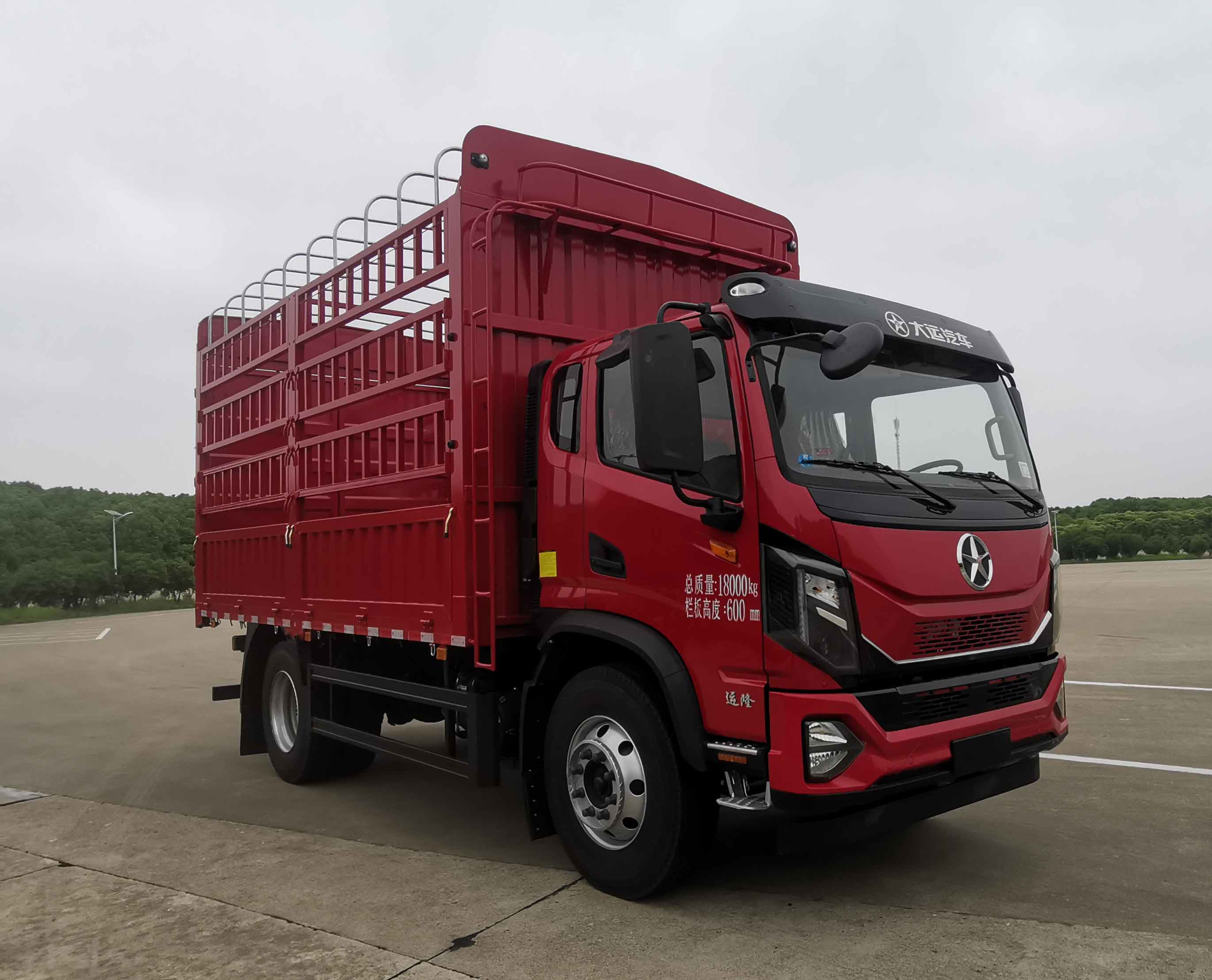 大運(yùn)牌DYQ5187CCYD6AB倉(cāng)柵式運(yùn)輸車公告圖片