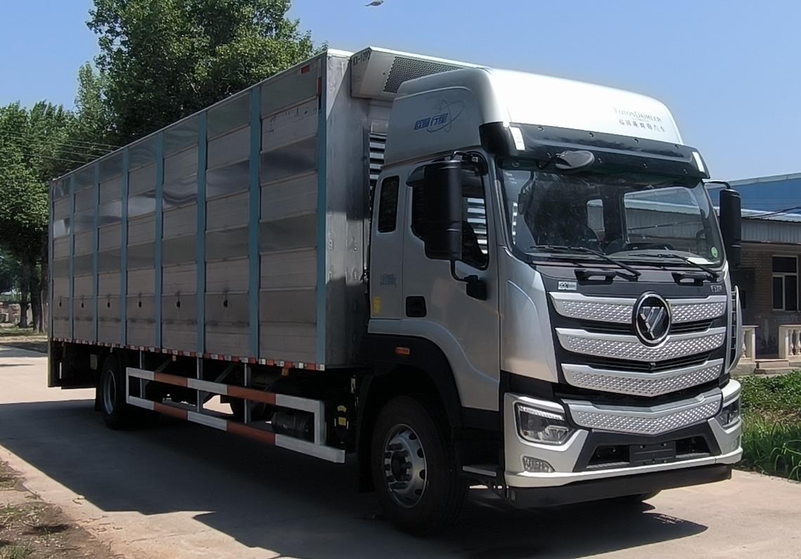 歐曼牌BJ5181XCQY6ANL-02雛禽運輸車公告圖片