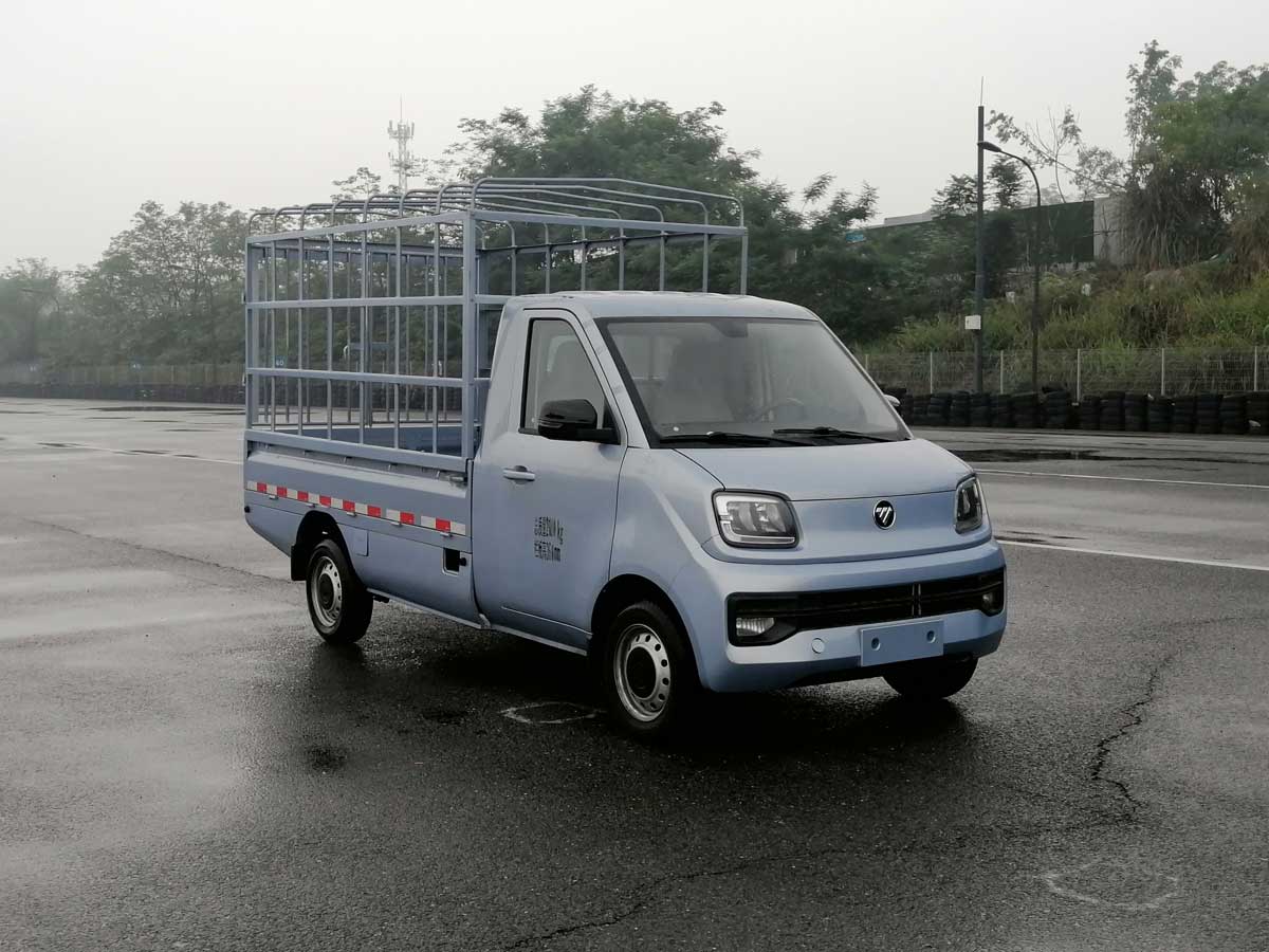 福田牌BJ5020CCY3JV5-71倉柵式運輸車公告圖片