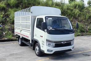 BJ5035CCY5JV5-17仓栅式运输车图片