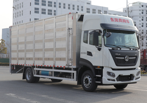 鑫荊楚牌JCX5180XCQDFH6雛禽運輸車公告圖片