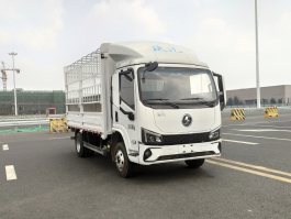SX5041CCYNP63411仓栅式运输车图片