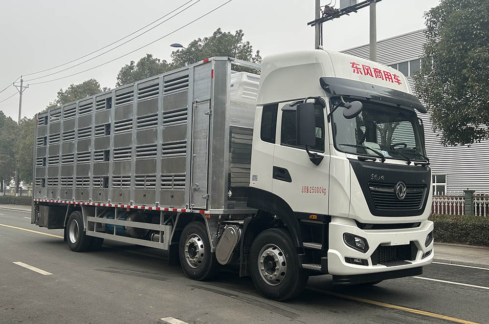 龍星匯牌HLV5250XCQD6雛禽運輸車公告圖片