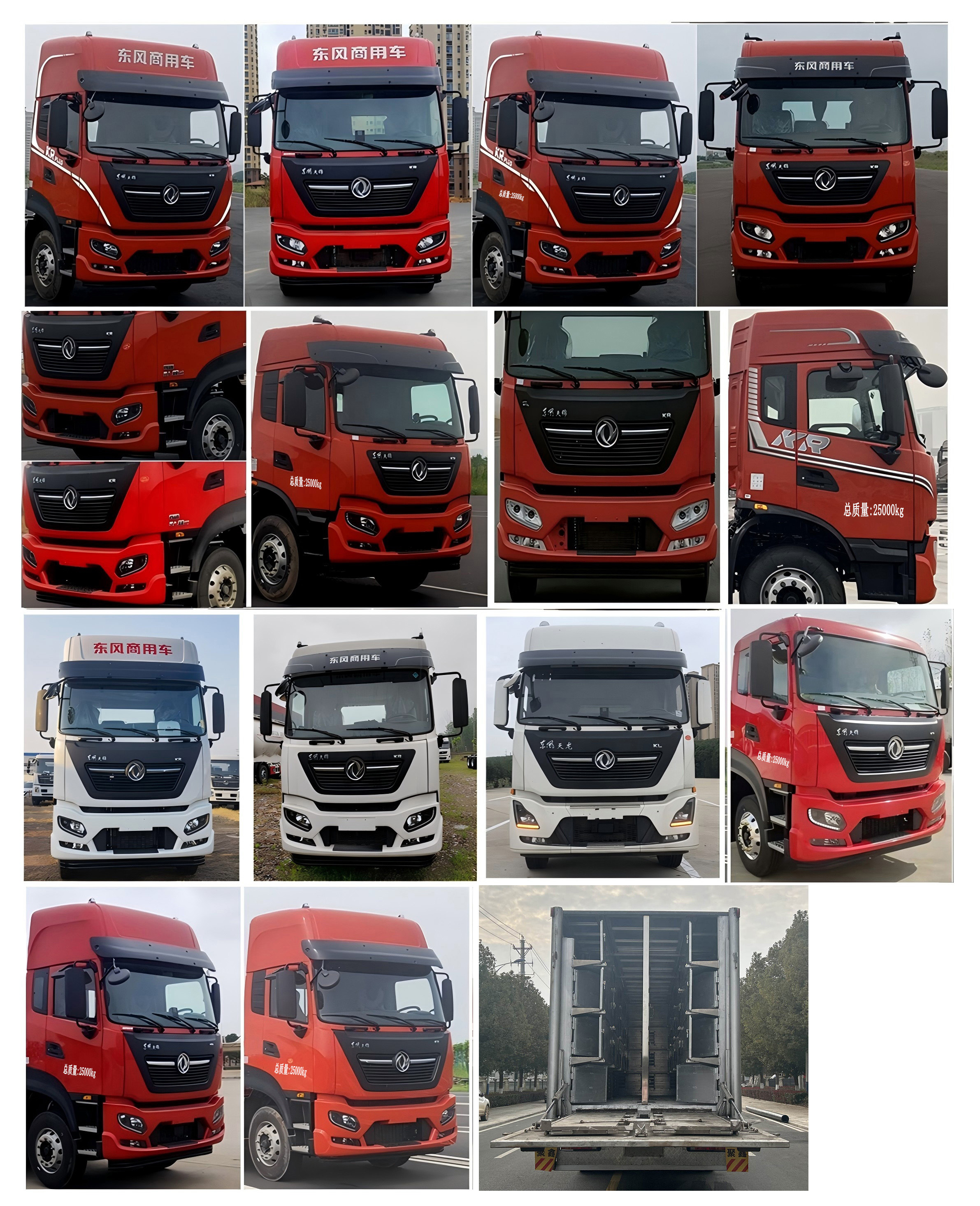 龍星匯牌HLV5250XCQD6雛禽運輸車公告圖片