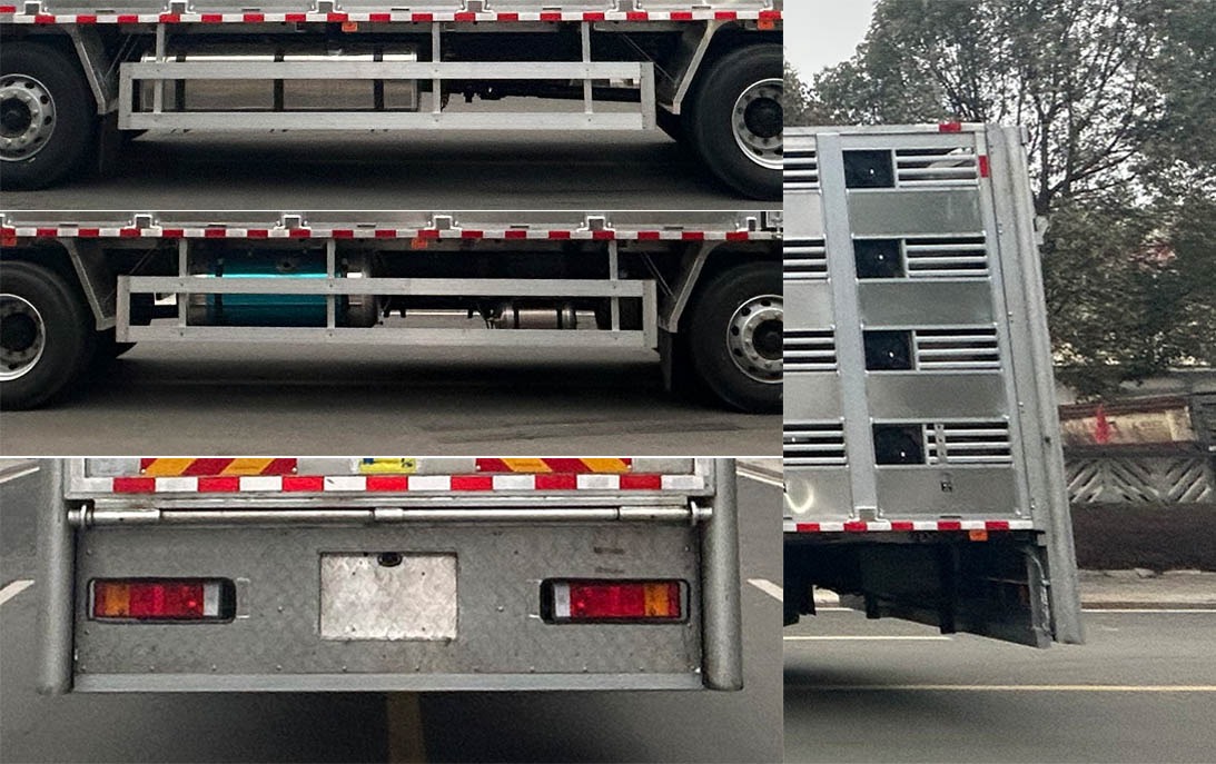 龍星匯牌HLV5250XCQD6雛禽運輸車公告圖片