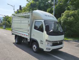 BJ5035CCY5JV6-30仓栅式运输车图片