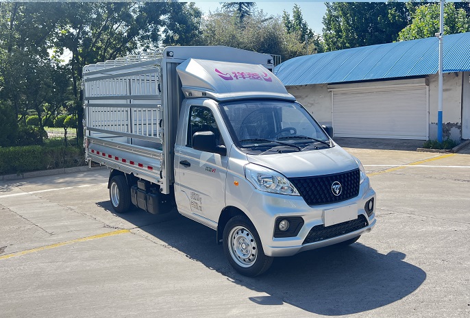 福田牌BJ5030CCY4JV6-10倉柵式運輸車公告圖片