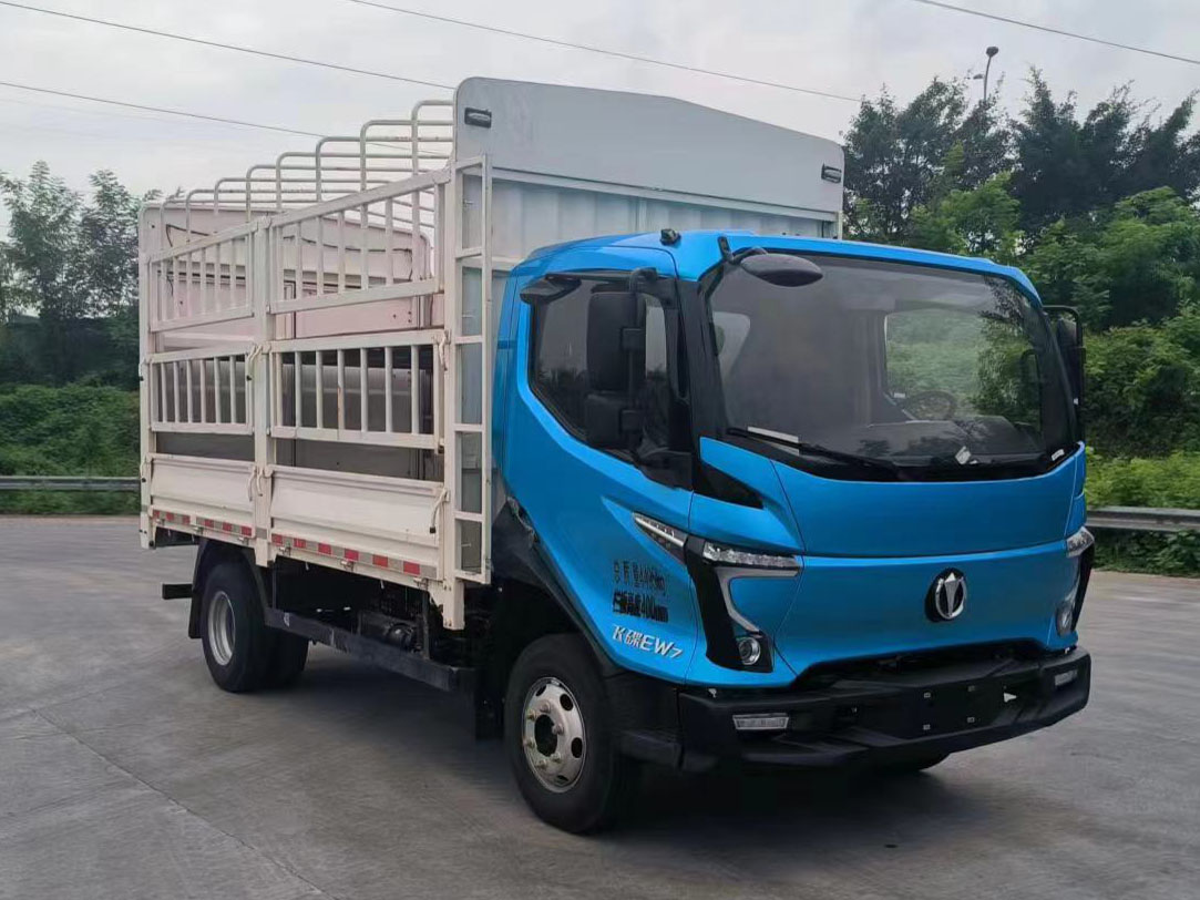 飛碟牌FD5041CCYW78BEV-1純電動倉柵式運輸車公告圖片