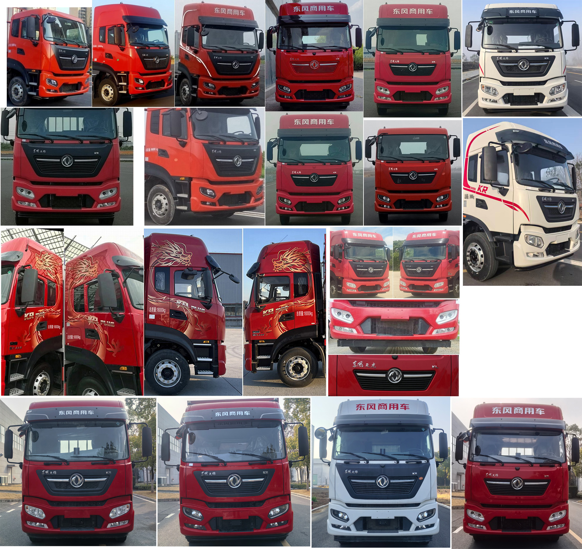 龍牧雙星牌LMX5180XCQDF6雛禽運(yùn)輸車公告圖片
