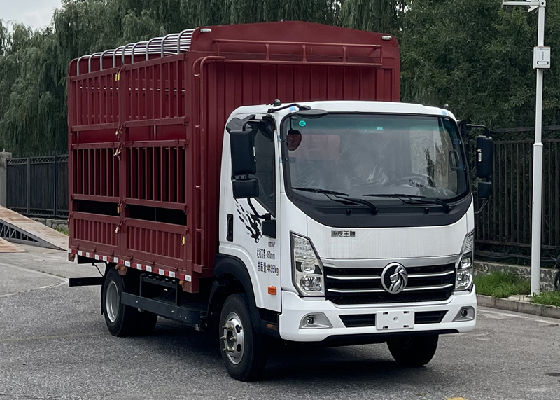 王牌牌CDW5044CCYG331DZHSEV換電式純電動倉柵式運(yùn)輸車公告圖片