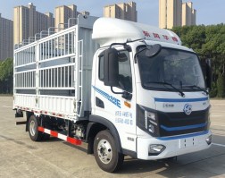 DFD5040CCYLBEV4纯电动仓栅式运输车图片