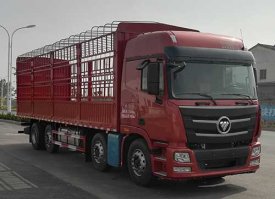 BJ5319CCYY6JRL-01仓栅式运输车图片