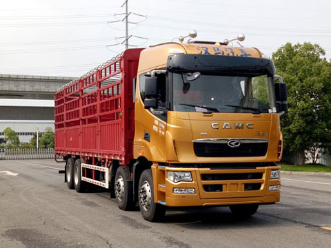 華菱之星牌HN5310CCYA46D8M6倉柵式運輸車公告圖片