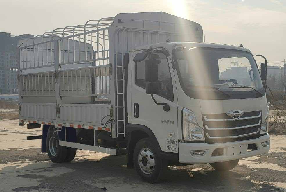福田牌BJ5046CCY9JBA-04倉柵式運輸車公告圖片