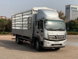 BJ5164CCYJPFN-02仓栅式运输车图片